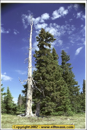 wy2002_r2_18.jpg