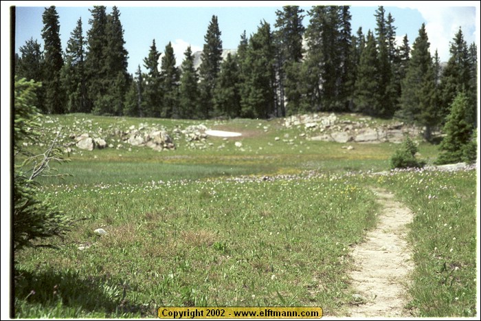 wy2002_r2_25.jpg