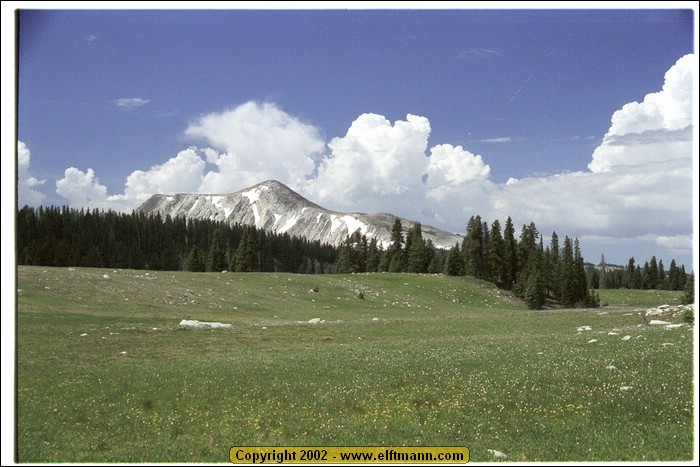 wy2002_r2_28.jpg